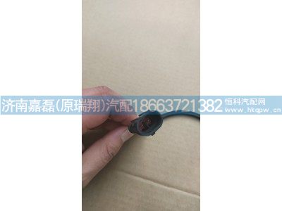 排气温度传感器WG1034121039,排气温度传感器WG10341210,济南嘉磊汽车配件有限公司(原济南瑞翔)