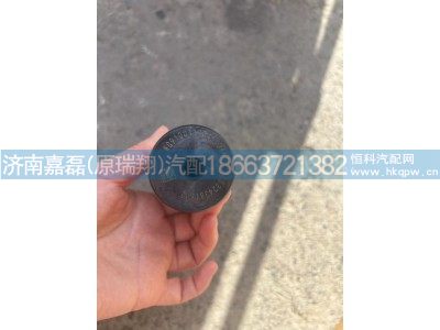 AZ9100413045,转向节主肖,济南嘉磊汽车配件有限公司(原济南瑞翔)