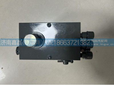 WG9925822002,A7舉升泵,濟南嘉磊汽車配件有限公司(原濟南瑞翔)