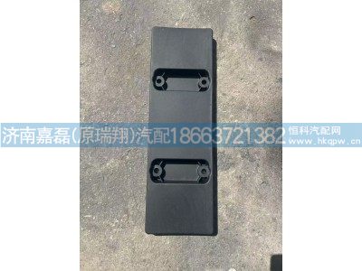 AZ166224000001,新能源号牌安装板,济南嘉磊汽车配件有限公司(原济南瑞翔)