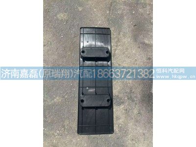 AZ166224000001,新能源号牌安装板,济南嘉磊汽车配件有限公司(原济南瑞翔)