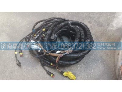 YG9924770401,左底盤電線束（S32/鼓雙/油箱/WP）,濟南嘉磊汽車配件有限公司(原濟南瑞翔)