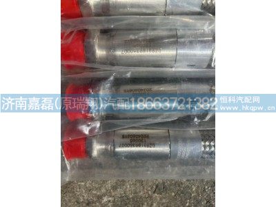 DZ93189360007,不銹鋼金屬軟管,濟(jì)南嘉磊汽車配件有限公司(原濟(jì)南瑞翔)