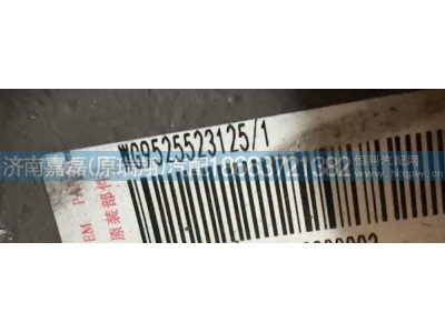 WG9525523125,前簧左前支架,济南嘉磊汽车配件有限公司(原济南瑞翔)