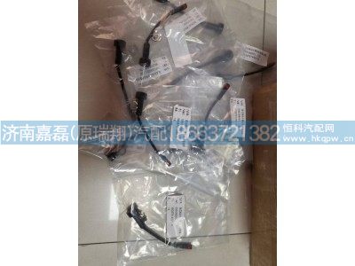 WG9761450176,極限報(bào)警指示器,濟(jì)南嘉磊汽車配件有限公司(原濟(jì)南瑞翔)