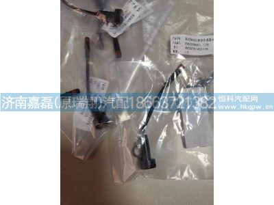 WG9761450176,極限報(bào)警指示器,濟(jì)南嘉磊汽車配件有限公司(原濟(jì)南瑞翔)