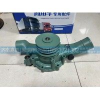1307010-621-0000水泵总成