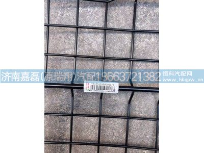 YZ166424000015,HOWO左大灯保护罩,济南嘉磊汽车配件有限公司(原济南瑞翔)