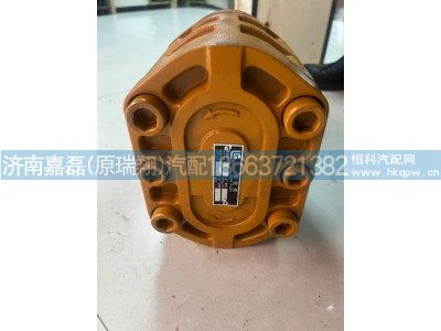 11C0013,柳工齿轮泵,济南嘉磊汽车配件有限公司(原济南瑞翔)