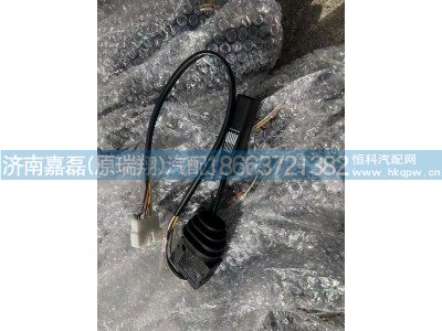 DZ93189584631,陕汽FAST缓速直手柄开关,济南嘉磊汽车配件有限公司(原济南瑞翔)