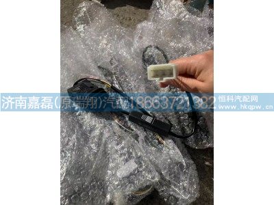 DZ93189584631,陕汽FAST缓速直手柄开关,济南嘉磊汽车配件有限公司(原济南瑞翔)