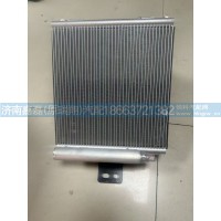 重汽豪曼冷凝器总成     编号FG9806130114