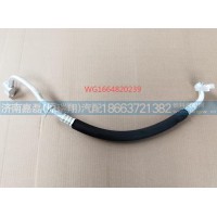 WG1664820239蒸-压软管(车架部分 MAN)