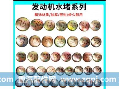 10035087004657,碗型塞,山东柏赛机械设备有限公司