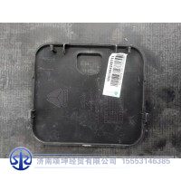 WG1664245111左踏板堵蓋