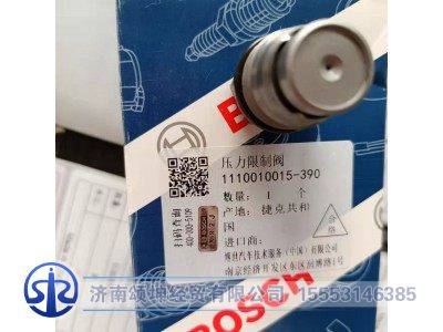 5317174/1110010015/612630080306,共轨减压阀,济南颂坤经贸有限公司