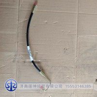 WG9719820255單側(cè)180度彎舉升軟管450