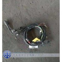AZ9928770011左前圍線束