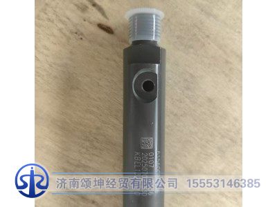 61560080276,噴油器總成,濟(jì)南頌坤經(jīng)貿(mào)有限公司
