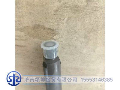 61560080276,噴油器總成,濟(jì)南頌坤經(jīng)貿(mào)有限公司