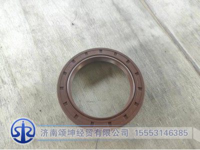 WG9003070055,骨架油封55*75*12,济南颂坤经贸有限公司