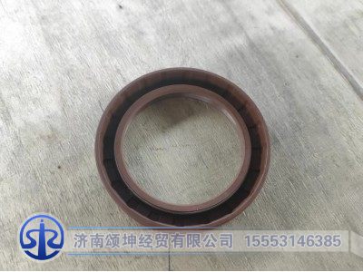 WG9003070055,骨架油封55*75*12,济南颂坤经贸有限公司
