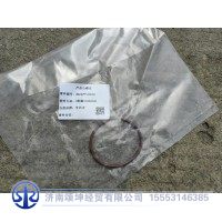 WG2229100040   范围档活塞O型圈