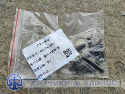 WG2229020002,推块外弹簧,济南颂坤经贸有限公司