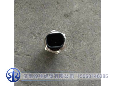 202V27421-0263,燃油壓力傳感器,濟(jì)南頌坤經(jīng)貿(mào)有限公司