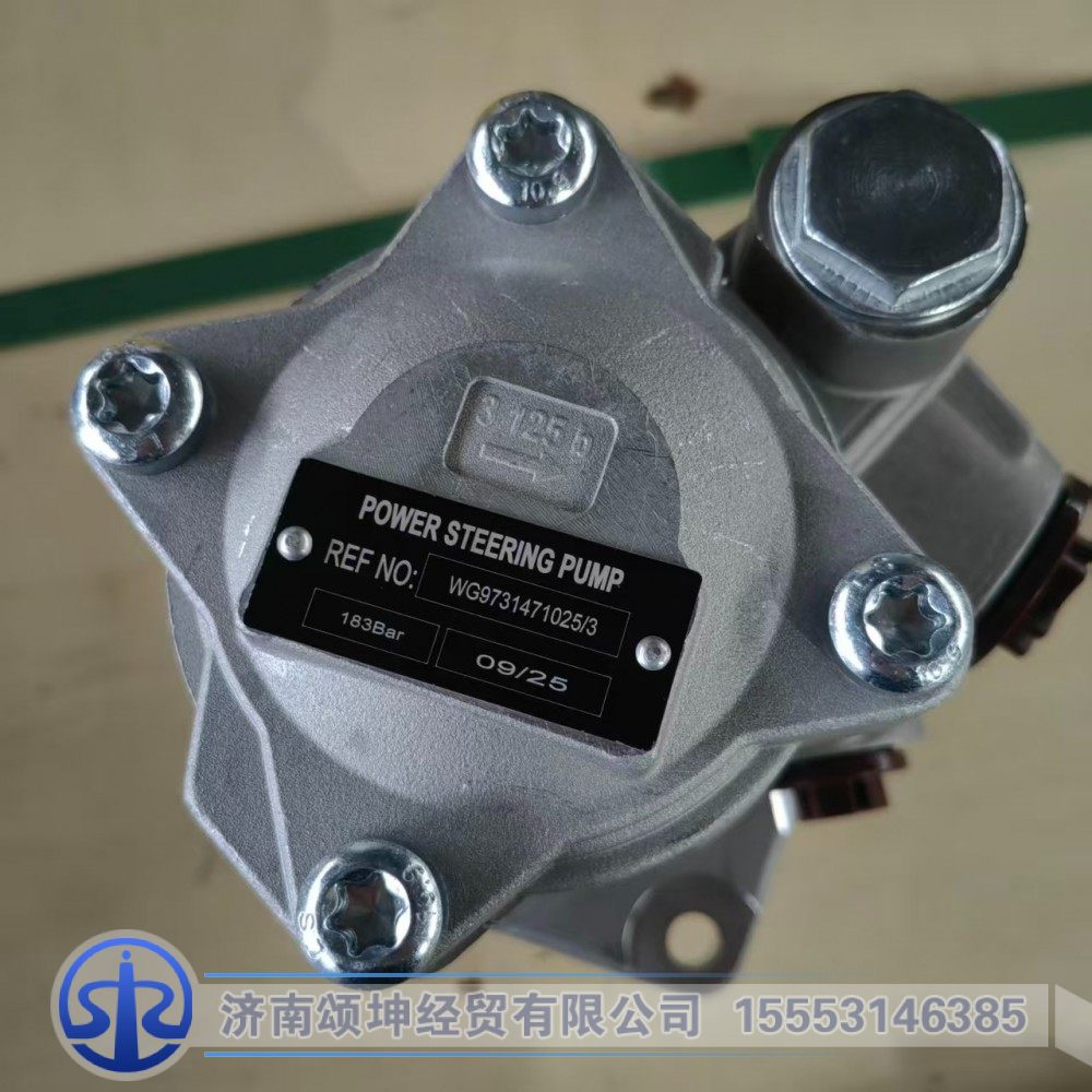 WG9731471025   转向助力泵