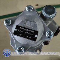 WG9731471025   转向助力泵