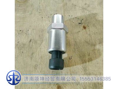 DZ97189711320,空滤堵塞报警开关,济南颂坤经贸有限公司