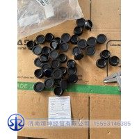 81960020098   密封堵