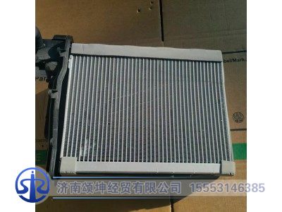 8107WZW3X-010,蒸发器芯体带延伸管总成,济南颂坤经贸有限公司