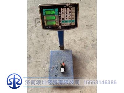 DZ97189763020,電磁式電源總開(kāi)關(guān),濟(jì)南頌坤經(jīng)貿(mào)有限公司