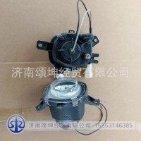 DZ93189723023(3013)   左右前组合灯/雾灯/圆