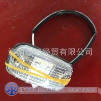 NXG41TFW871-31010   示廓灯总成