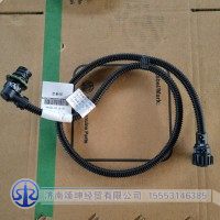 YZ961577000079   尾灯线束