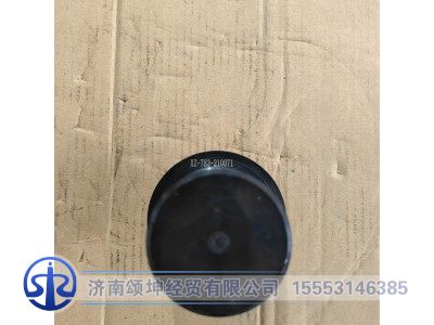 XZ-783-210071/T06980000139,差速器齿面侧轴承内圈压头,济南颂坤经贸有限公司