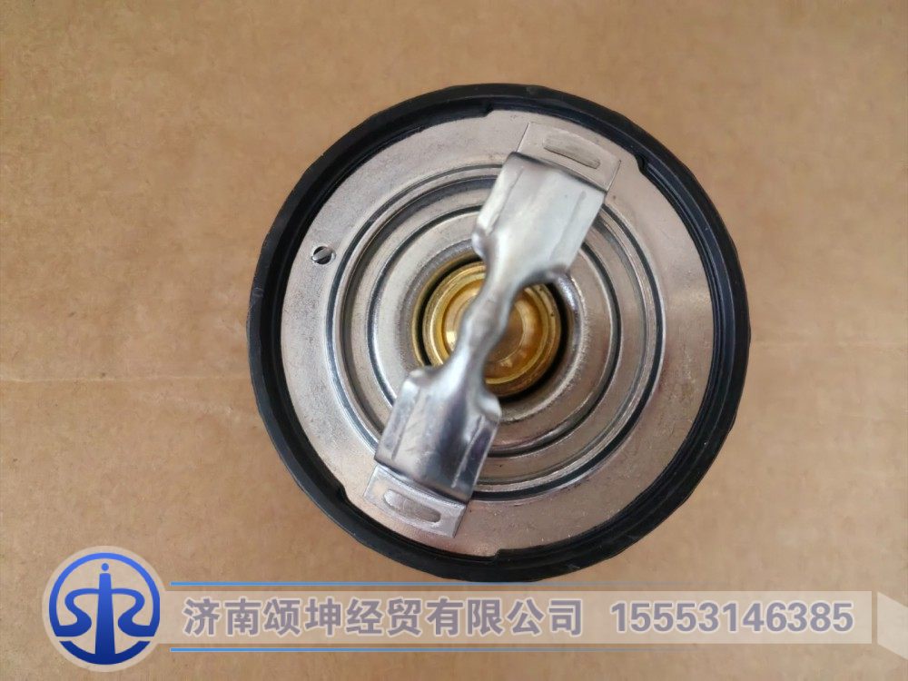 1009981217     内置节温器