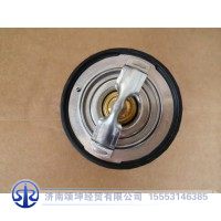 1009981217     内置节温器