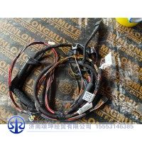 YZ982277000257     车门电线束