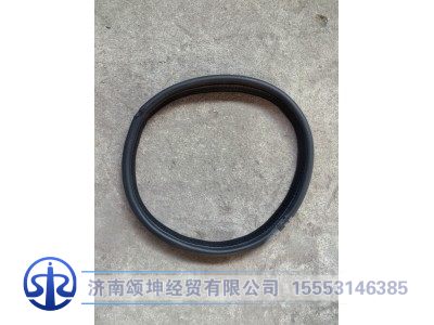 JSS005858765,近光灯饰条,济南颂坤经贸有限公司