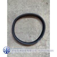 JSS005858765    近光灯饰条