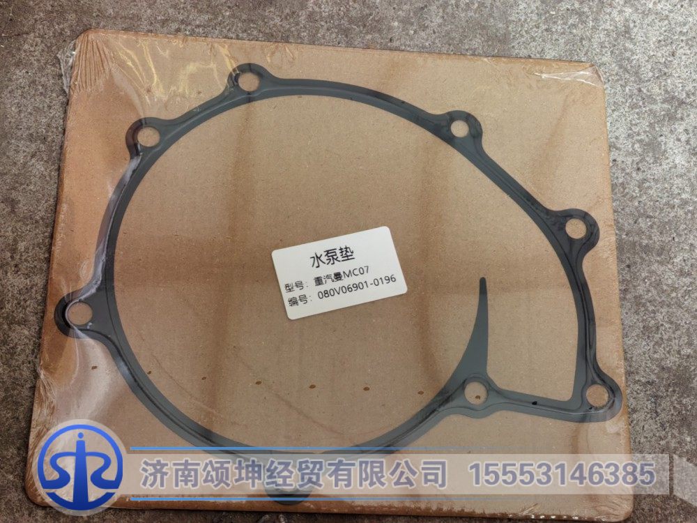 080V06901-0196    水泵垫片