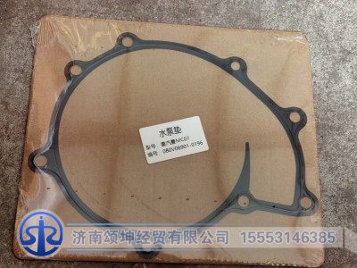 080V06901-0196,水泵垫片,济南颂坤经贸有限公司