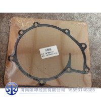 080V06901-0196    水泵垫片