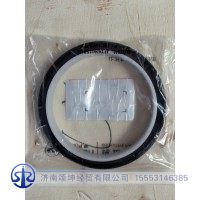 3968563    后油封