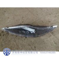 DZ97189721210    左示廓灯
