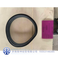 JSS005858779       远光灯饰条